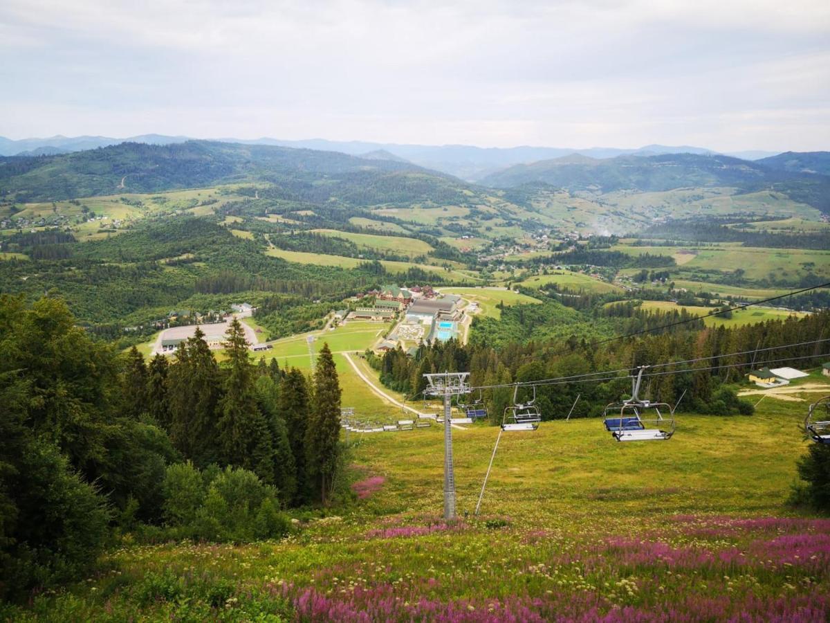 Карпатська Ружа Plave Dış mekan fotoğraf